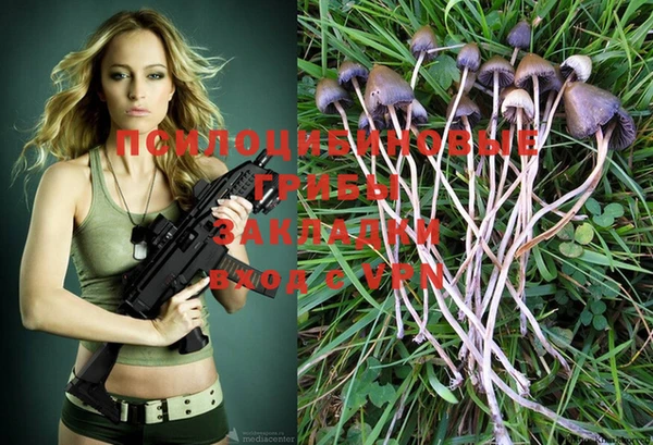 PSILOCYBIN Балахна