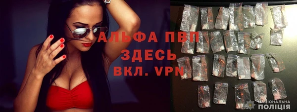 ешки Арсеньев