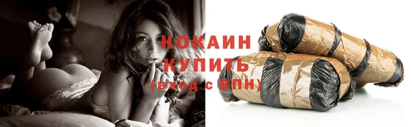 ешки Арсеньев