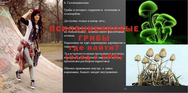 ешки Арсеньев