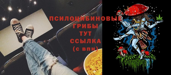 ешки Арсеньев
