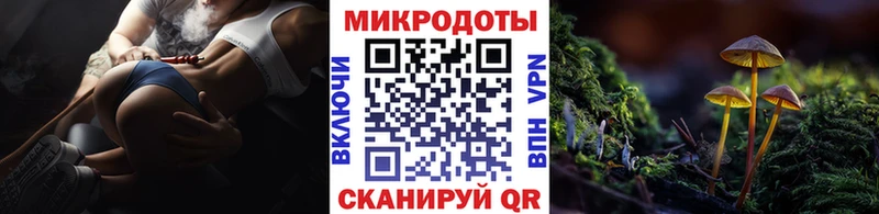 купить наркоту  Нижняя Тура  omg ONION  Галлюциногенные грибы Psilocybe 